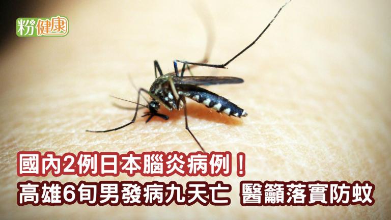 國內2例日本腦炎病例！高雄6旬男發病九天亡　醫籲落實防蚊